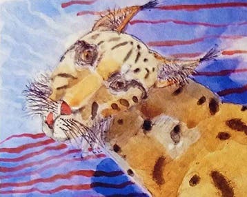 Pino Procopio (1954) - LA LINCE