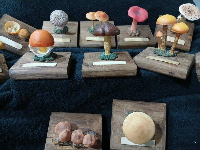 Onderwijs/demonstratiemodel (12) - marmeren harsen -, Antiquités & Art, Antiquités | Assiettes décoratives & Carrelages