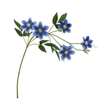 Clematis Dubbel Blauw Zijdenbloem 78 cm per stuk, Nieuw