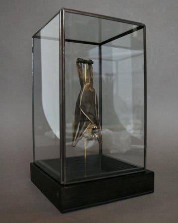 Chauve-souris Support de corps entier pour taxidermie -
