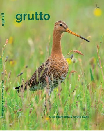 Grutto 9789464069624 Otto Plantema, Verzenden, Gelezen, Otto Plantema