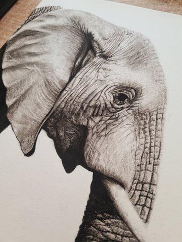 Ryan Bothma - Gentle Giant
