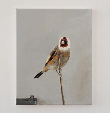 Matthieu van Riel - Het puttertje (Na Fabritius)