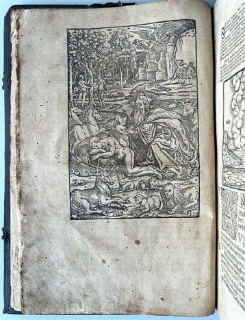 Biblia. Das ist Die ganze heilige Schrift Deudsch D. Mart., Antiquités & Art