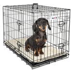 MaxxPet Hondenbench met Plaid - Zwart - Incl. Plaid - 76..., Ophalen of Verzenden, Nieuw