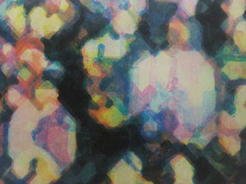 Stephen Andrews (1956) - A Small Part of Something Larger #2