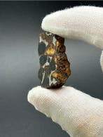 Sericho meteoriet Pallasiet - 13 g - (1)