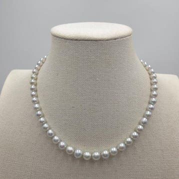 Sans prix de réserve - Collier Argent Perle - Perle Akoya