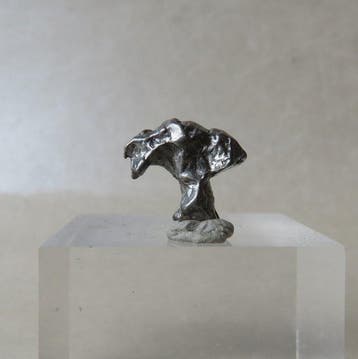 Campo del Cielo meteorite Météorite de fer - 92.5 g - (53), Collections