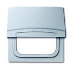 ABB Busch-Jaeger Adapterplaat Met Afdekking IP44 Aluminium -, Bricolage & Construction, Verzenden