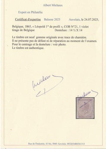 België 1865 - Leopold II - OBP ; 21 tanding 14,5x14 +