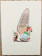 Astérix T19 - Le devin - C - 1 Album - EO - 1972