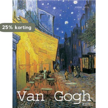Vincent van Gogh 9789058410382 E. Lein, Verzenden, Gelezen, E. Lein