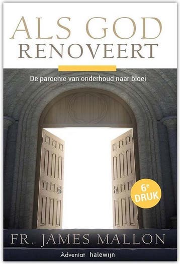 Als God renoveert 9789492093776 James Mallon, Verzenden, Zo goed als nieuw, James Mallon
