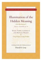 Illumination of the Hidden Meaning Volume 2 9781949163049, Verzenden, Zo goed als nieuw, David B. Gray