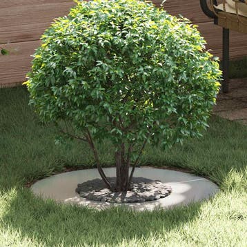 vidaXL geschikt voor vlakke boomring Zilver Ø30 / 60 cm, Verzenden, Nieuw