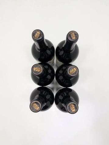 2021 Matarromera - Ribera del Duero Crianza - 6 Magnums, Nieuw