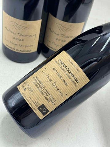 2023 Antoine Sanzay, La Haye Dampierre - Saumur-Champigny -, Nieuw