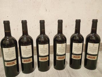 2001 Bodegas Elias Mora Gran Elias Mora - Toro - 6