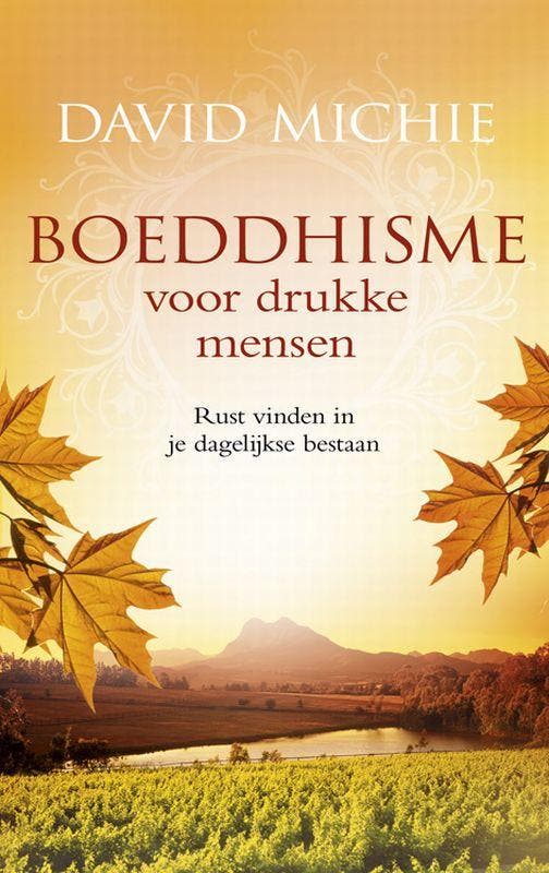 Boeddhisme voor drukke mensen 9789049201340 David Michie, Boeken, Esoterie en Spiritualiteit, Gelezen, Verzenden