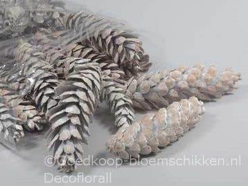 Dennenappel strobus grote white wash 20-25cm zak25