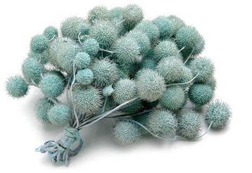 Plataanballetjes Plane Ball Turquoise zak, Nieuw