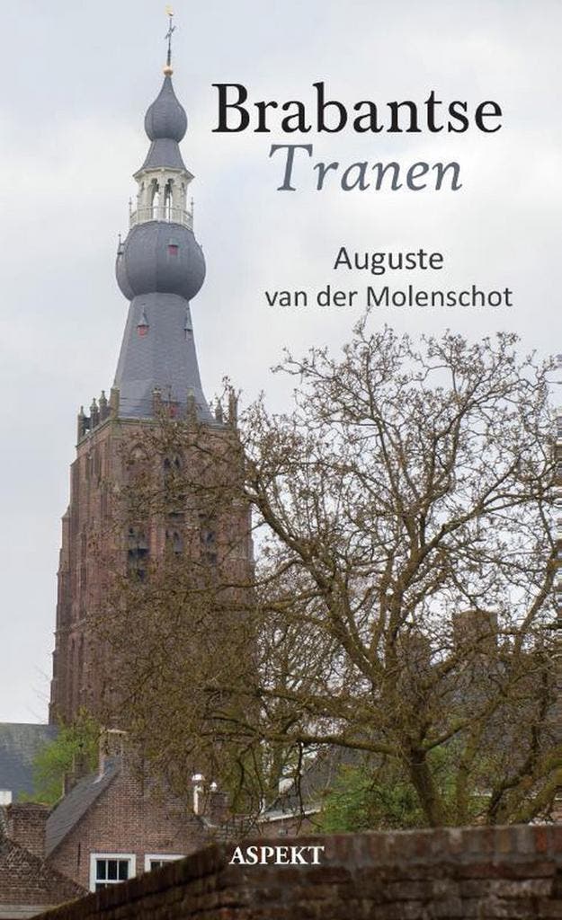 Brabantse tranen 9789463382595 Auguste van der Molenschot, Livres, Littérature, Envoi