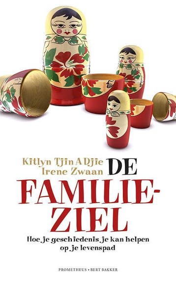 De familieziel 9789035140691 Irene Zwaan, Verzenden, Irene Zwaan
