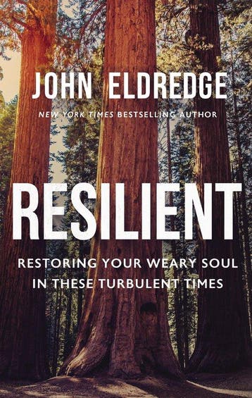 Resilient 9781400237821 John Eldredge, Verzenden, Gelezen, John Eldredge