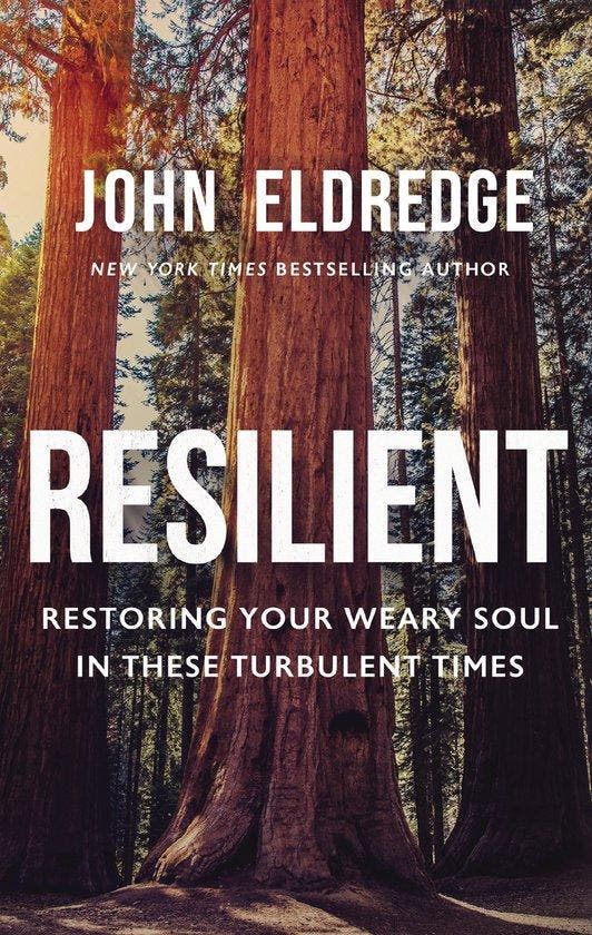 Resilient 9781400237821 John Eldredge, Livres, Langue | Anglais, Envoi