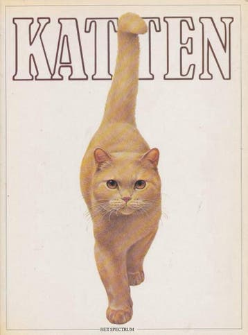 KATTEN 9789027418746 BRUIN, Verzenden, Gelezen, BRUIN