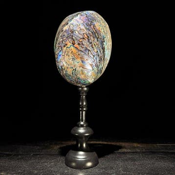 Decoratief ornament - NO RESERVE PRICE - Stunning pair of
