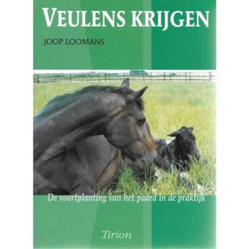 VEULENS KRIJGEN 9789052103976 J. Loomans, Verzenden, Gelezen, J. Loomans