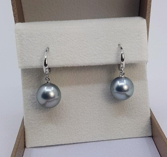 Oorbellen - 14 karaat Witgoud - 9×10 mm Tahitiaanse parels, Bijoux, Sacs & Beauté, Boucles d'oreilles