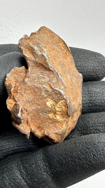 Gebel Kamil meteoriet Exemplaar - 117 g - (1)