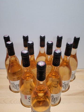 2024 Domaine le Songe de Don Bosco, Le Songe - Provence - 12