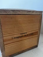 2013 Tenuta San Guido, Sassicaia - Bolgheri - 1 Magnum (1,5