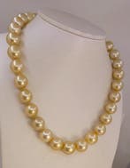 Collier - 14 carats Or jaune, Perles des mers du Sud dorées, Nieuw