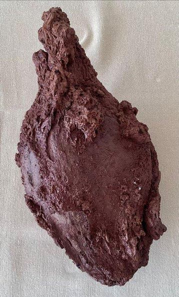 Bombe volcanique Fusiforme - Hauteur : 25 cm - Largeur : 13
