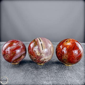 Versteend hout bolletjes-set – Exclusieve