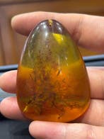 Hanger Baltisch amber 26,8 g - Barnsteen - Baltic amber -