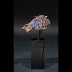 Eenden-schedelfetisj - Vaudou - Fon - Benin