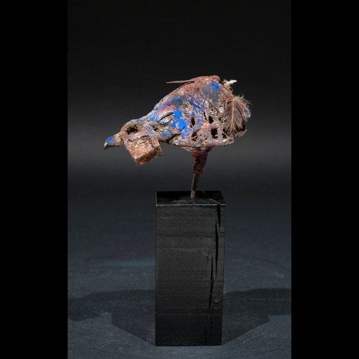 Eenden-schedelfetisj - Vaudou - Fon - Benin, Antiek en Kunst, Kunst | Niet-Westerse kunst