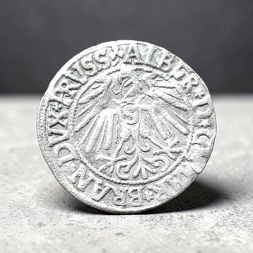Germany Duke Albert of Prussia (1546) Groschen – Kopicki