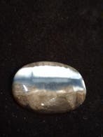 Natural Owyhee Blue Opal Cabochon - 50.273 ct - moss include, Verzenden, Nieuw