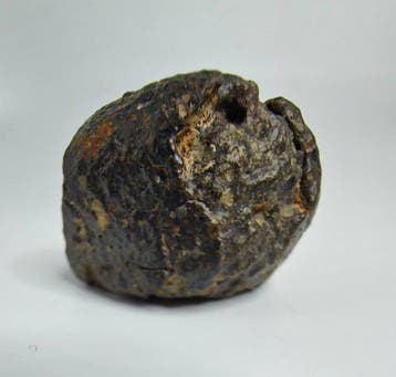 NWA 869 meteoriet, L3-6. De bekendste chondriet. - 36.54 g