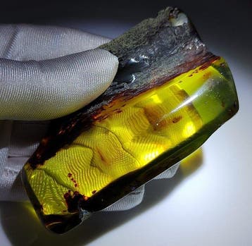 Mexicaanse amber Chiapas!! AAA- 60 g