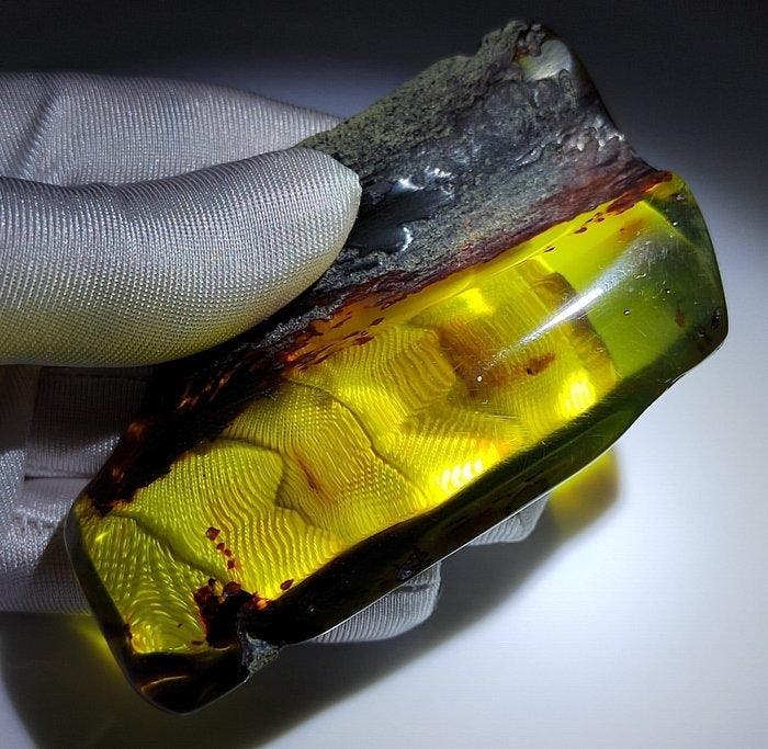 Mexicaanse amber Chiapas!! AAA- 60 g, Verzamelen, Mineralen en Fossielen