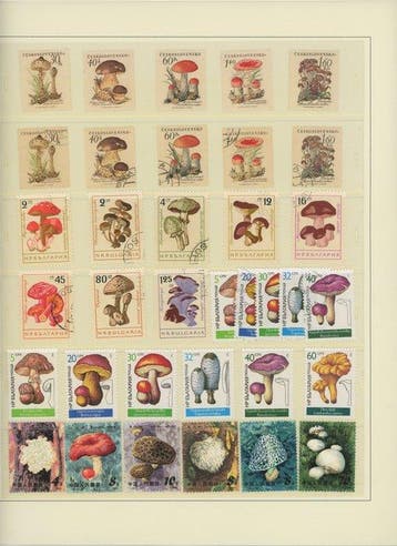 Britse Gemenebest - Belize, Guinee, Polen, Sint-Helena,