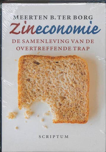 Zineconomie 9789055943517 M.B. ter Borg, Verzenden, M.B. ter Borg